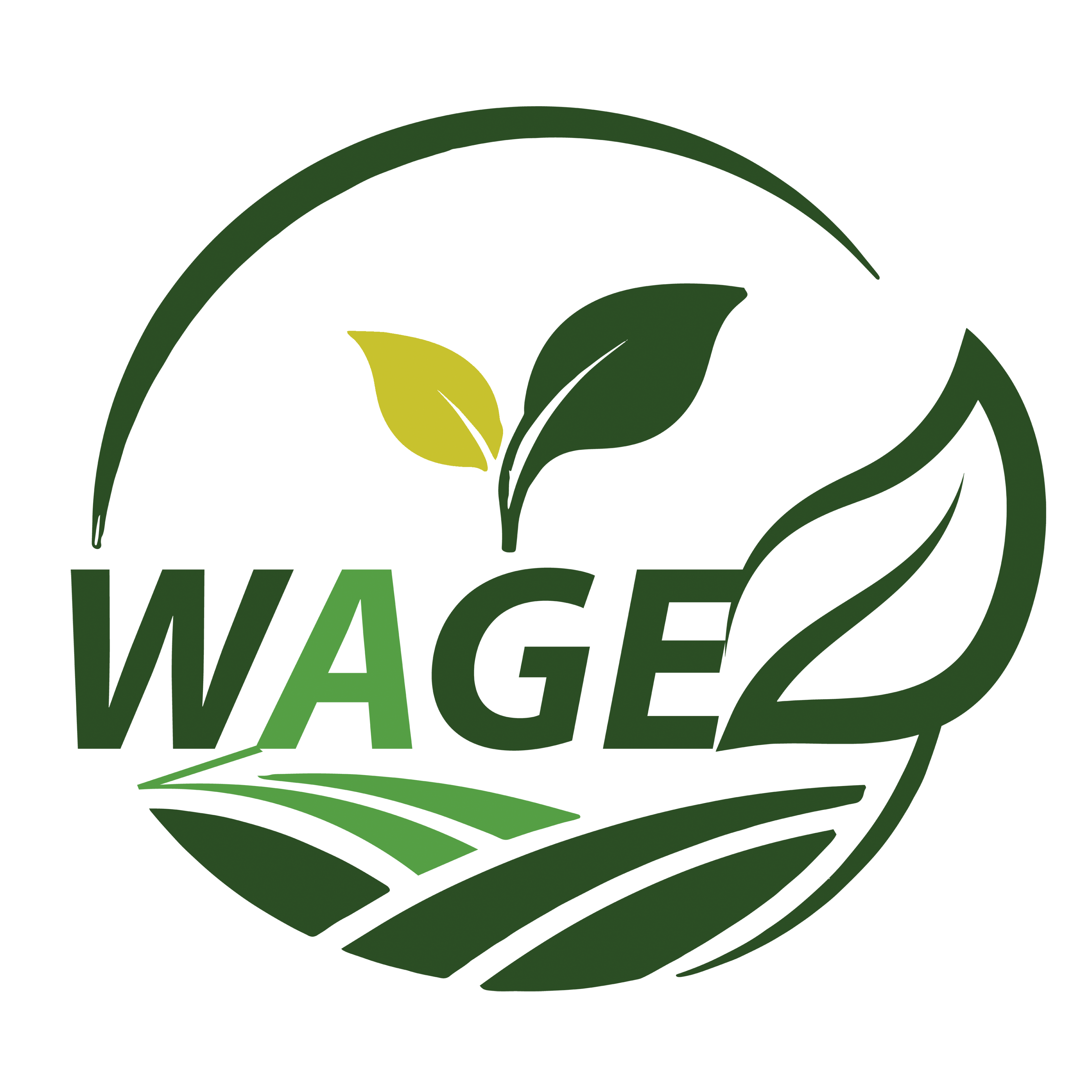 WAGE Solutions Limited Logo